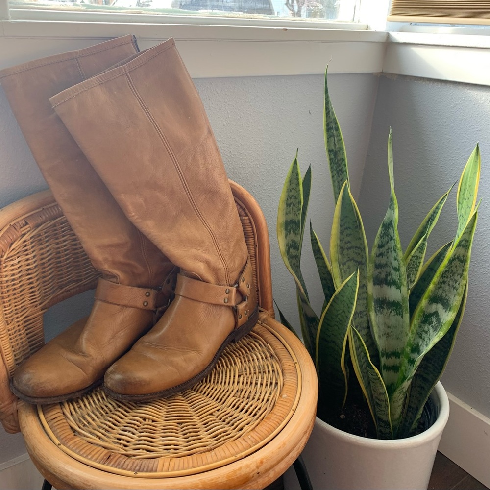 Tan Frye Riding Boots